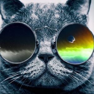 Meet your Posher, Austin